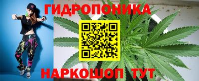 ECSTASY Кинель