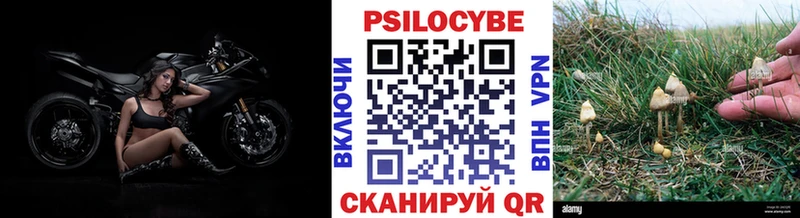 даркнет сайт  Бутурлиновка  Галлюциногенные грибы мицелий 