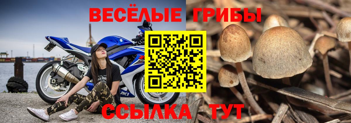 Бутурлиновка  Псилоцибиновые грибы Magic Shrooms  Вход с VPN 